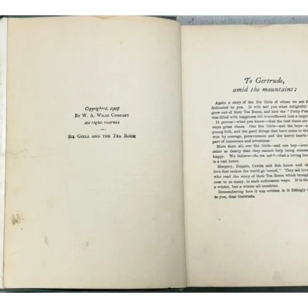 W.A. Wilde Company antique 1907
